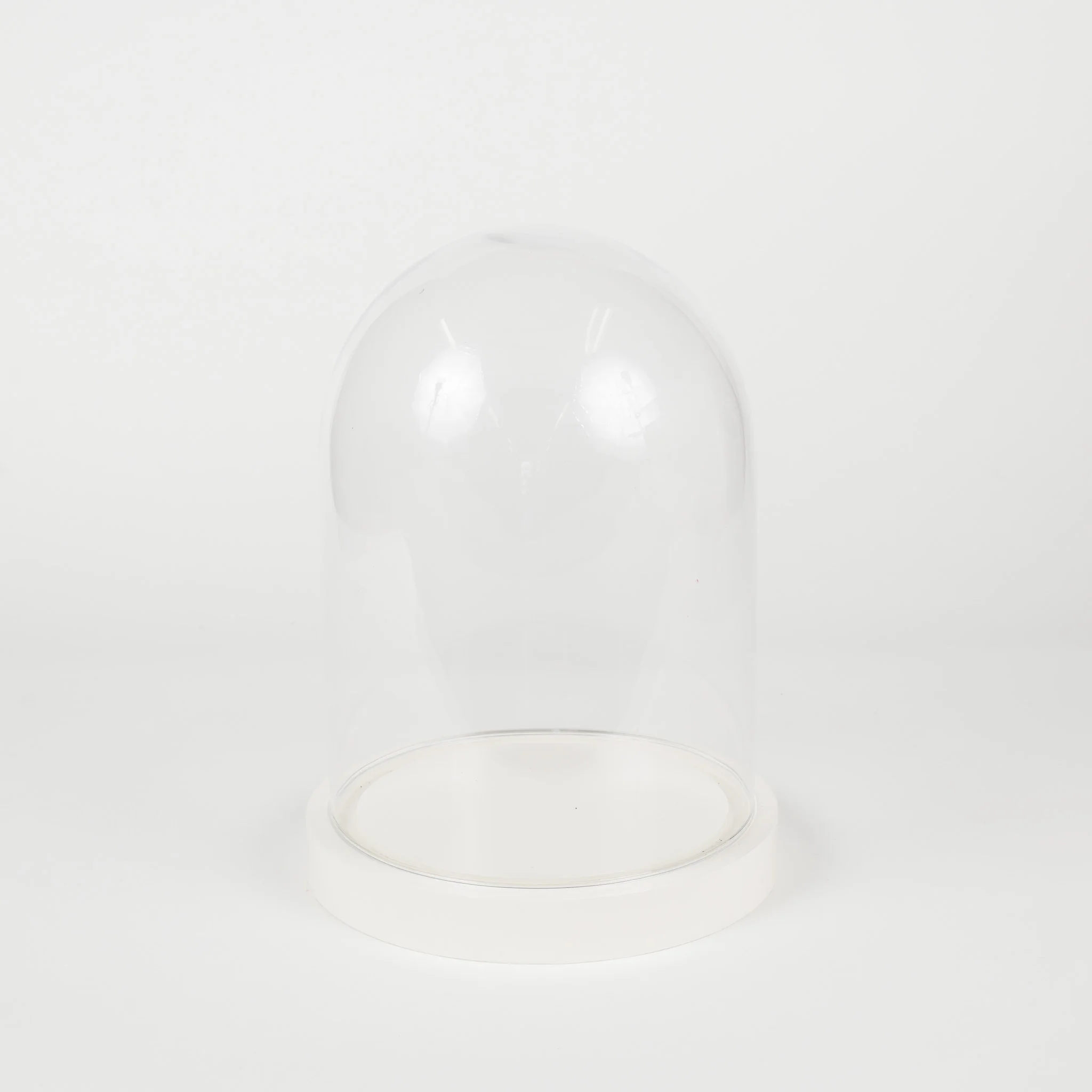 GLASS DOME BELL JAR