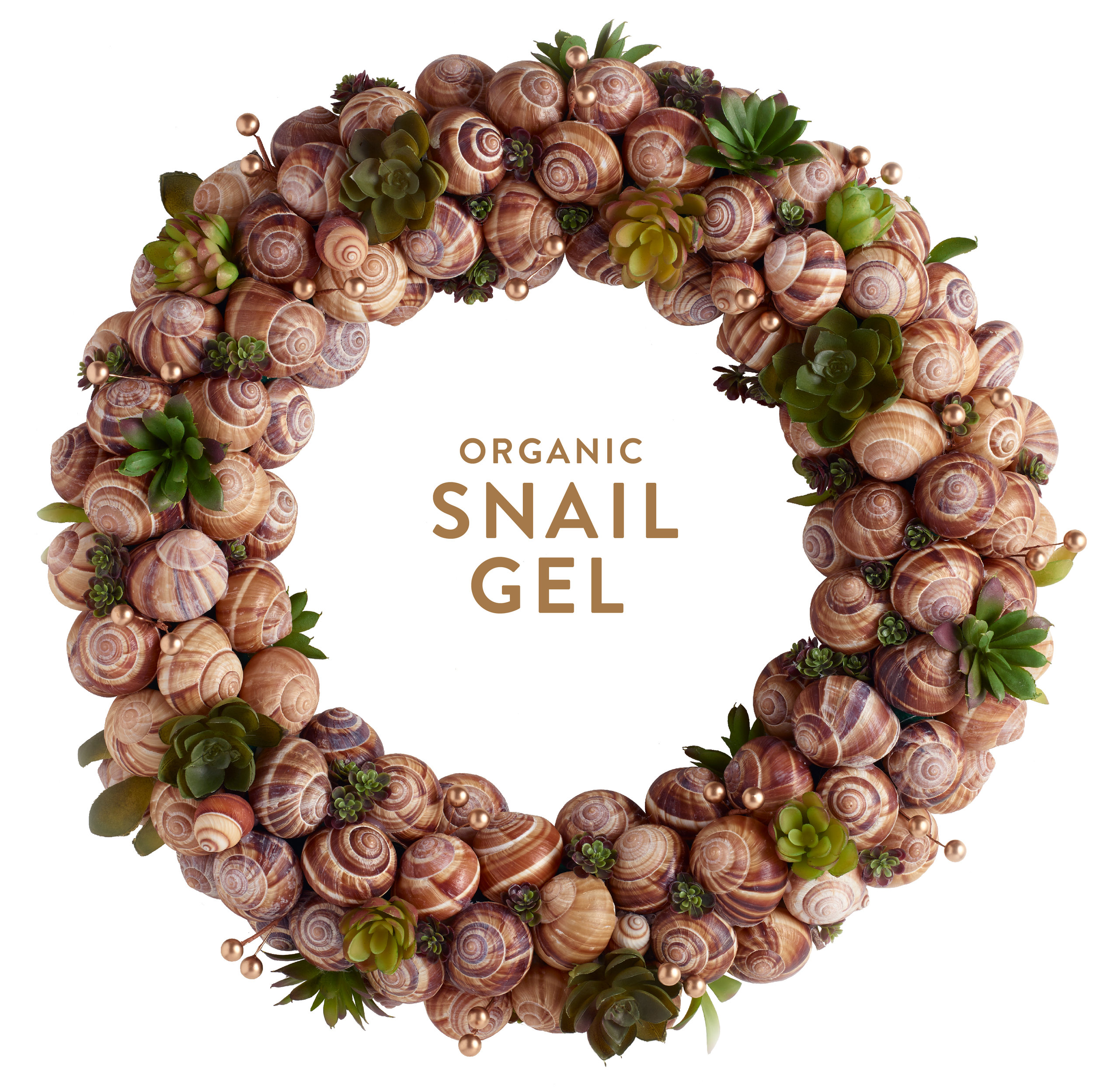 Wreath-Snail.jpg