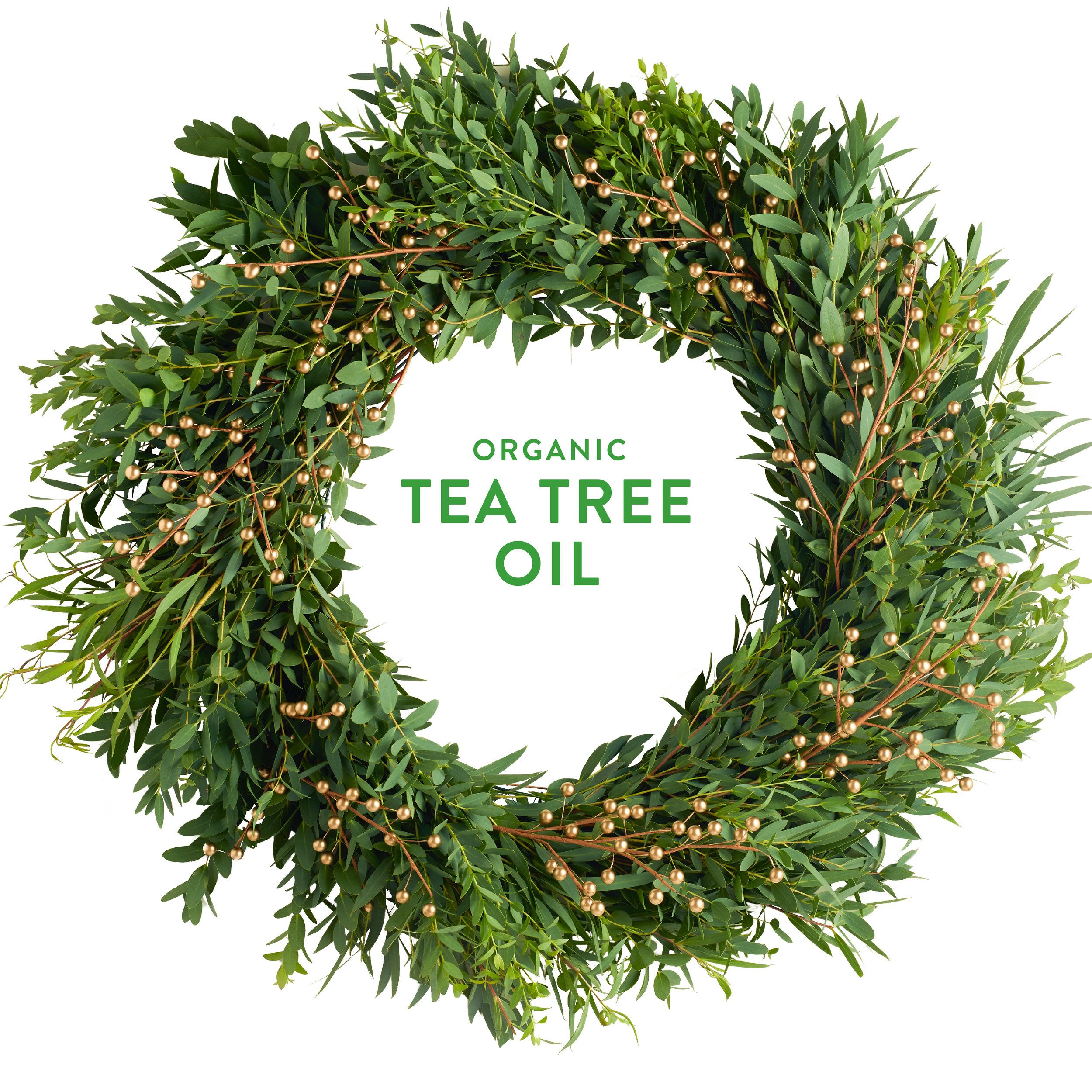 Wreath-TeaTree.jpg