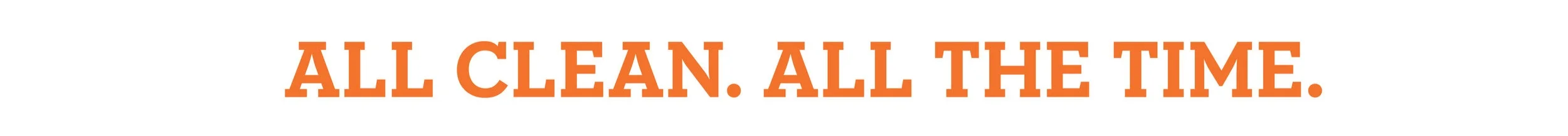 All+Clean+All+The+Time-10.jpg