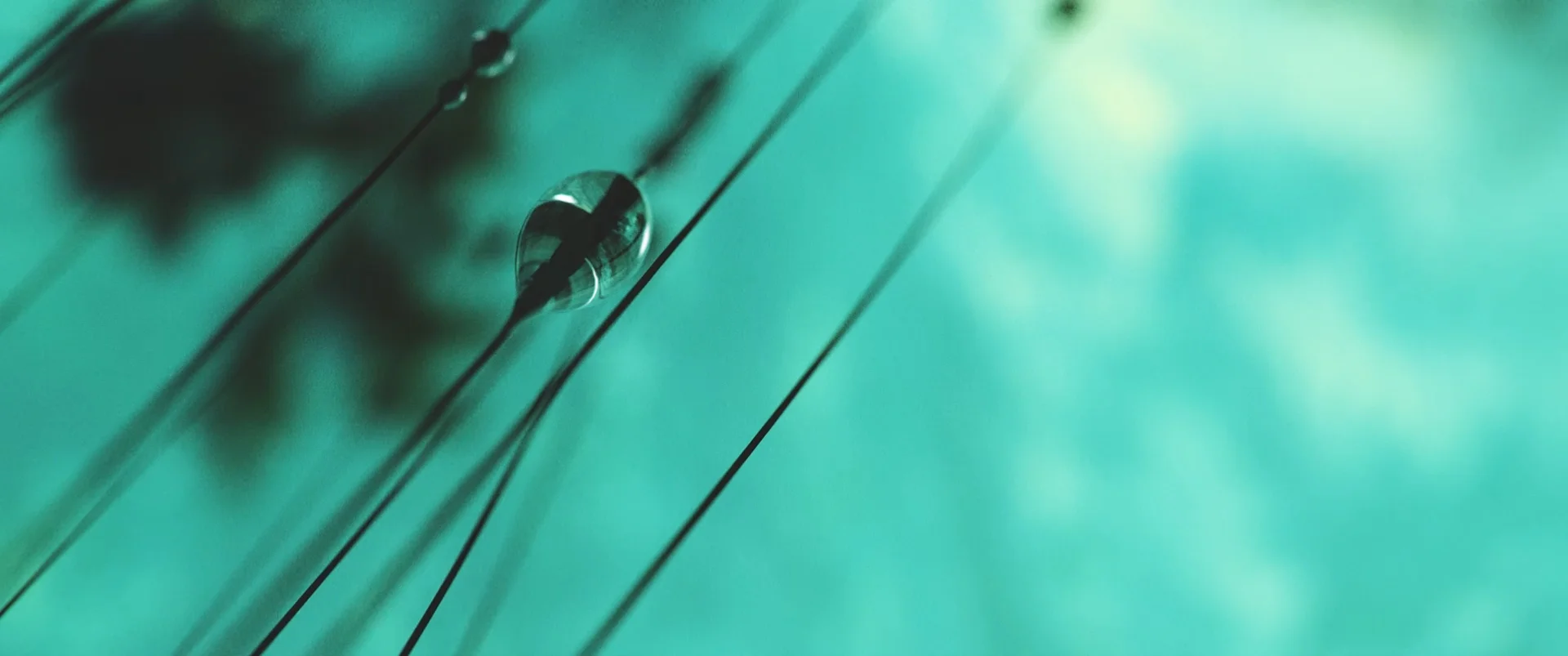 FLORE-Still_10.jpg