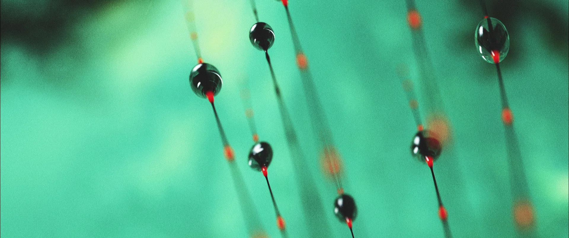 FLORE-Still_11.jpg