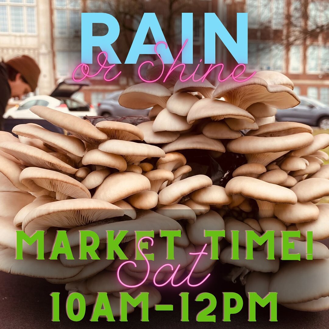 🥬We&rsquo;re still harvesting, cooking, mixing, and baking!🥧
We&rsquo;ll see you Saturday morning!

#nashvillesfavoritefarmersmarket #richlandparkfarmersmarket #richlandfarmersmarket #thingstodoinnashville #farmersmarketsnashville  #saturdaysinnash