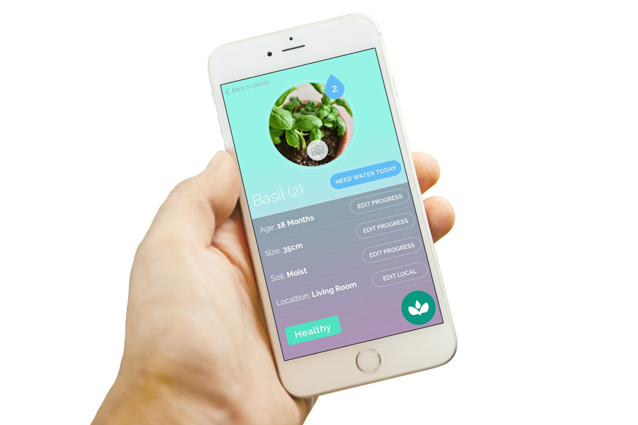 iPhone-6-Mockup.png