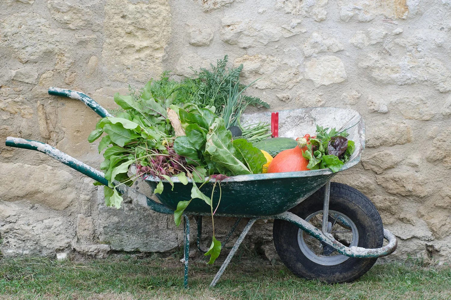 Wheelbarrow.jpg