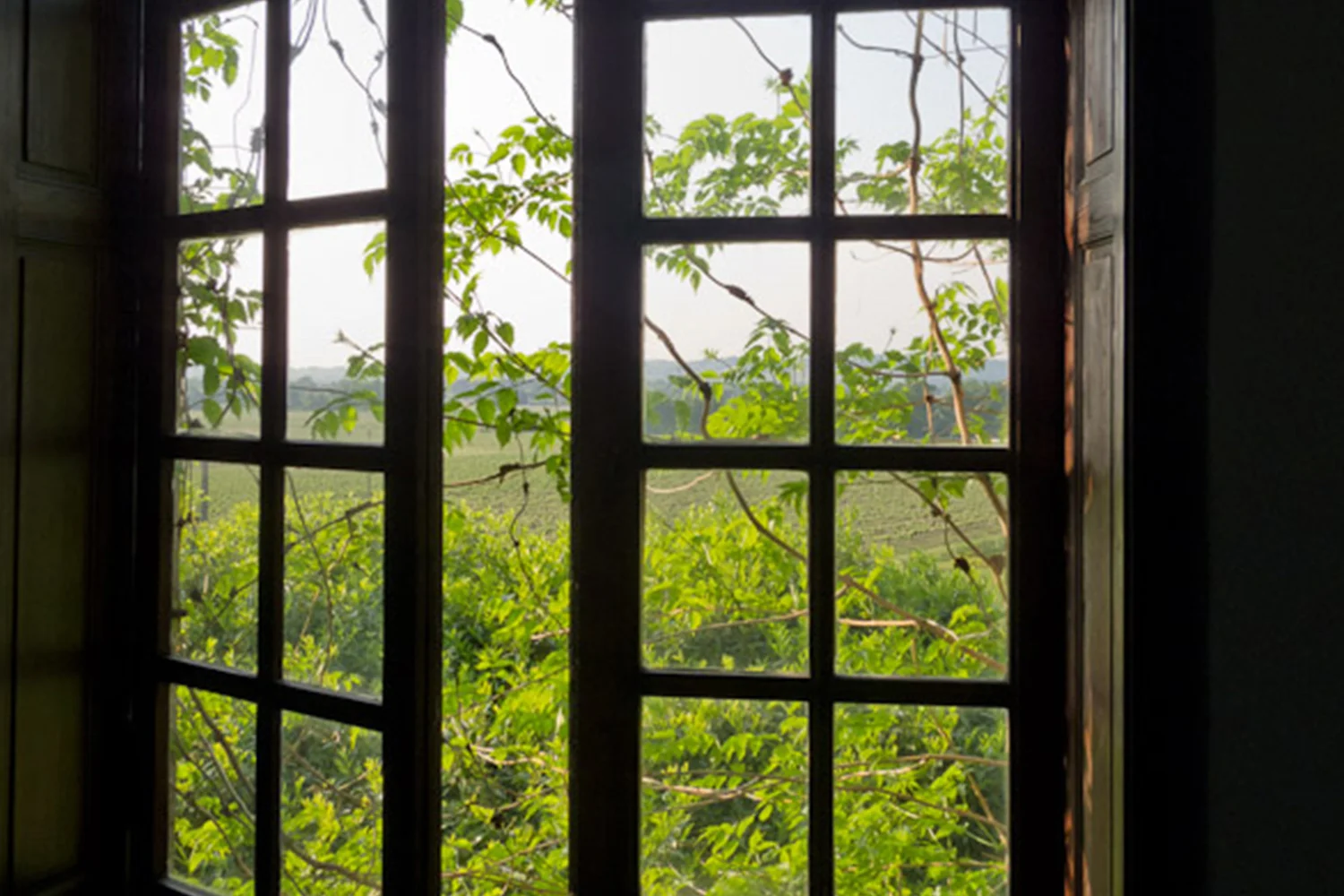 Gallery-window.jpg