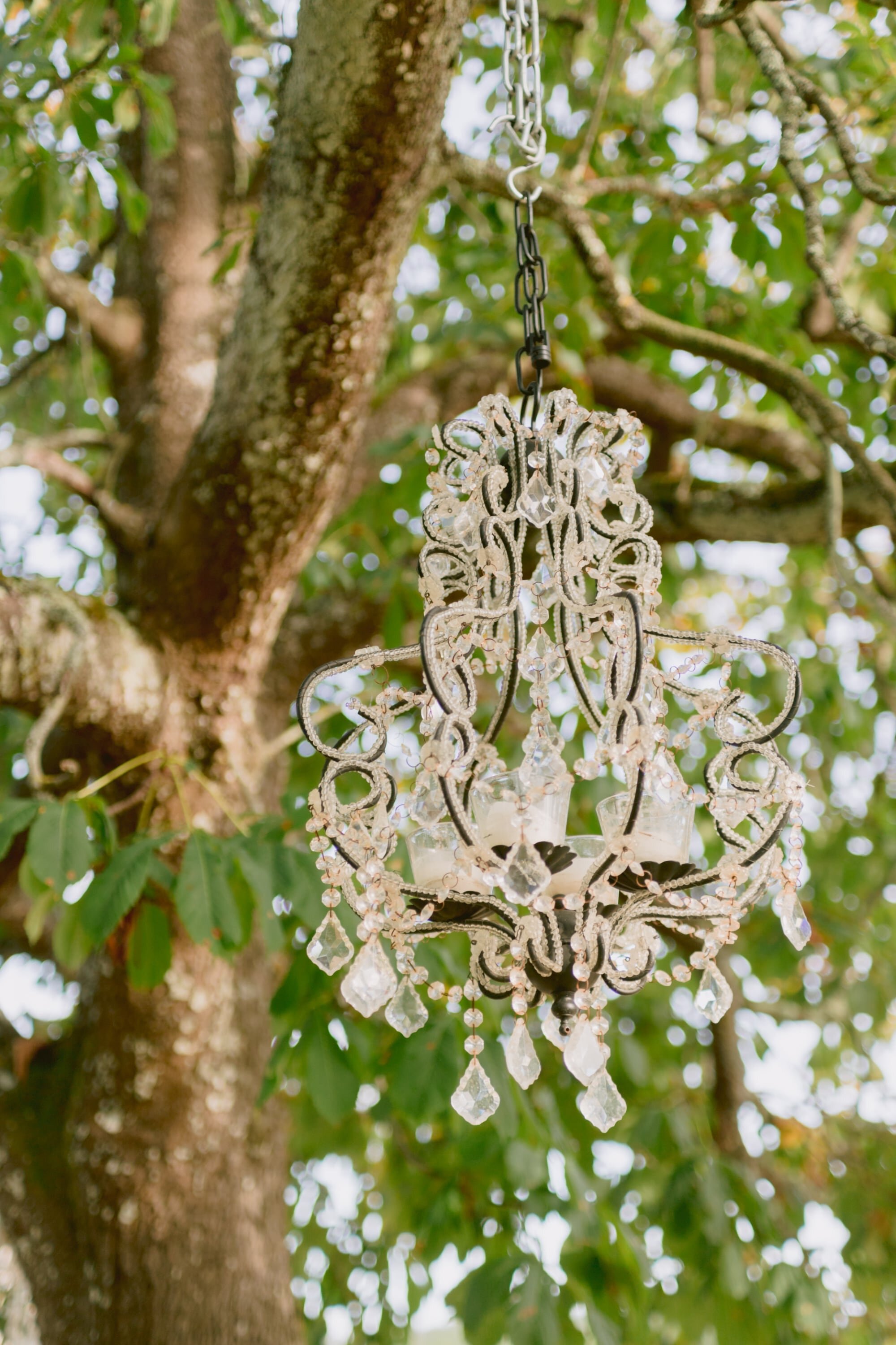 Chandelier (Copy)