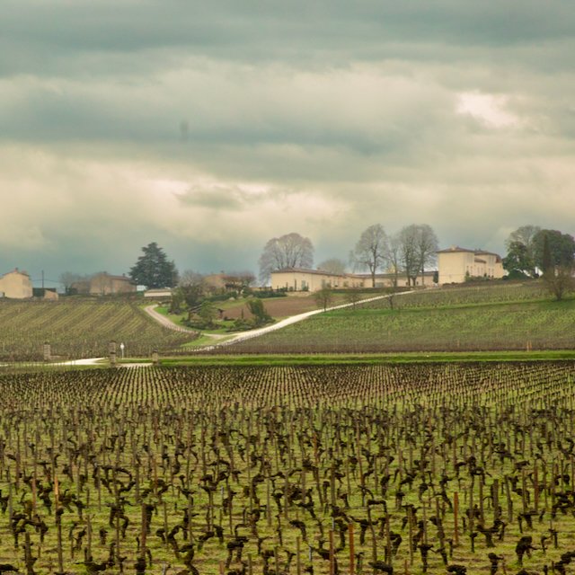 Chateau Rigaud Wine Tasting-117.jpeg