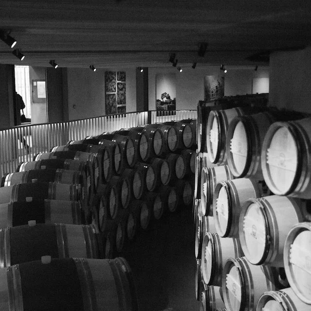 Chateau Rigaud Wine Tasting-129.jpeg