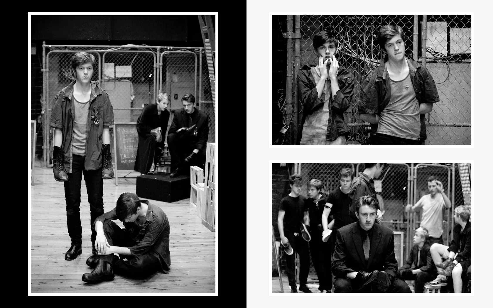 151100_ANIMAL FARM.002.jpeg