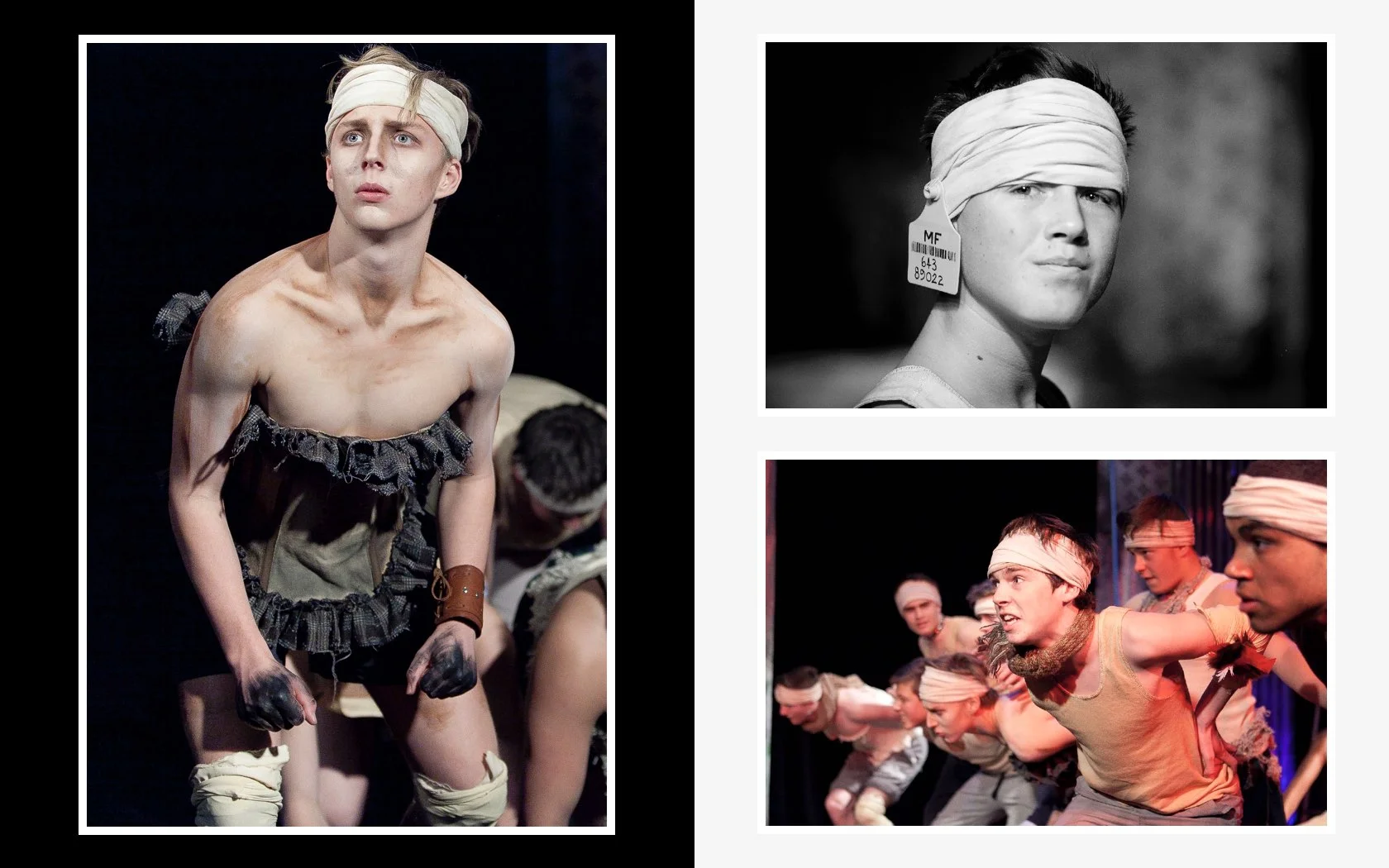 150700_ANIMAL FARM.004.jpeg