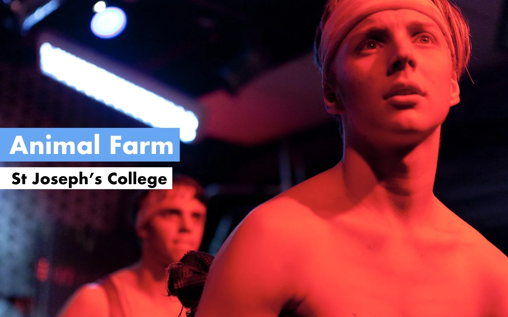 150700_ANIMAL FARM.001.jpeg