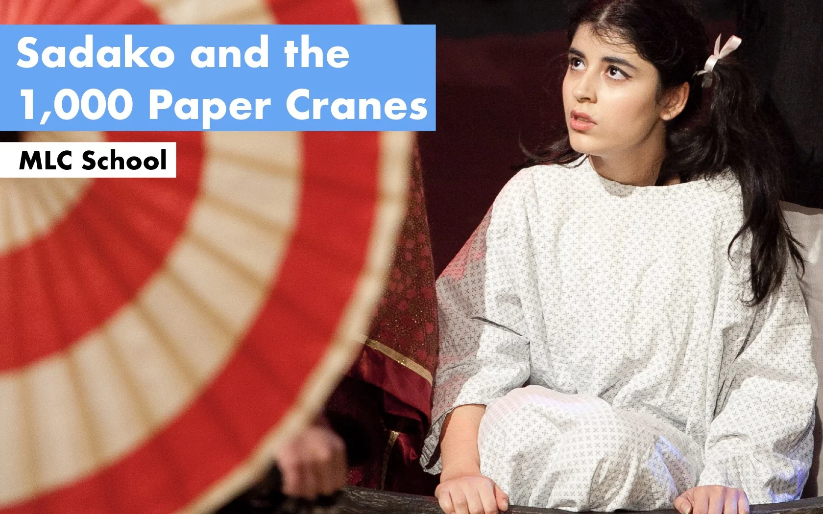 150610_1000PAPER CRANES.001.jpeg