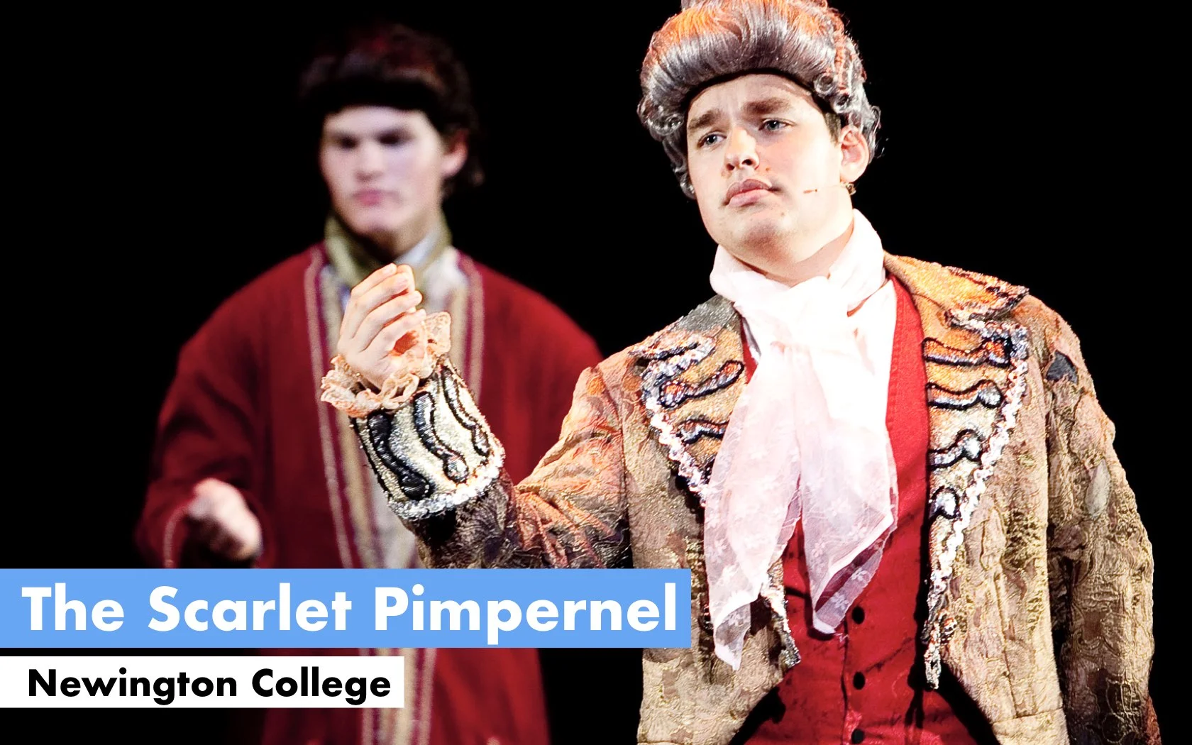 120200_PIMPERNEL.001.jpeg