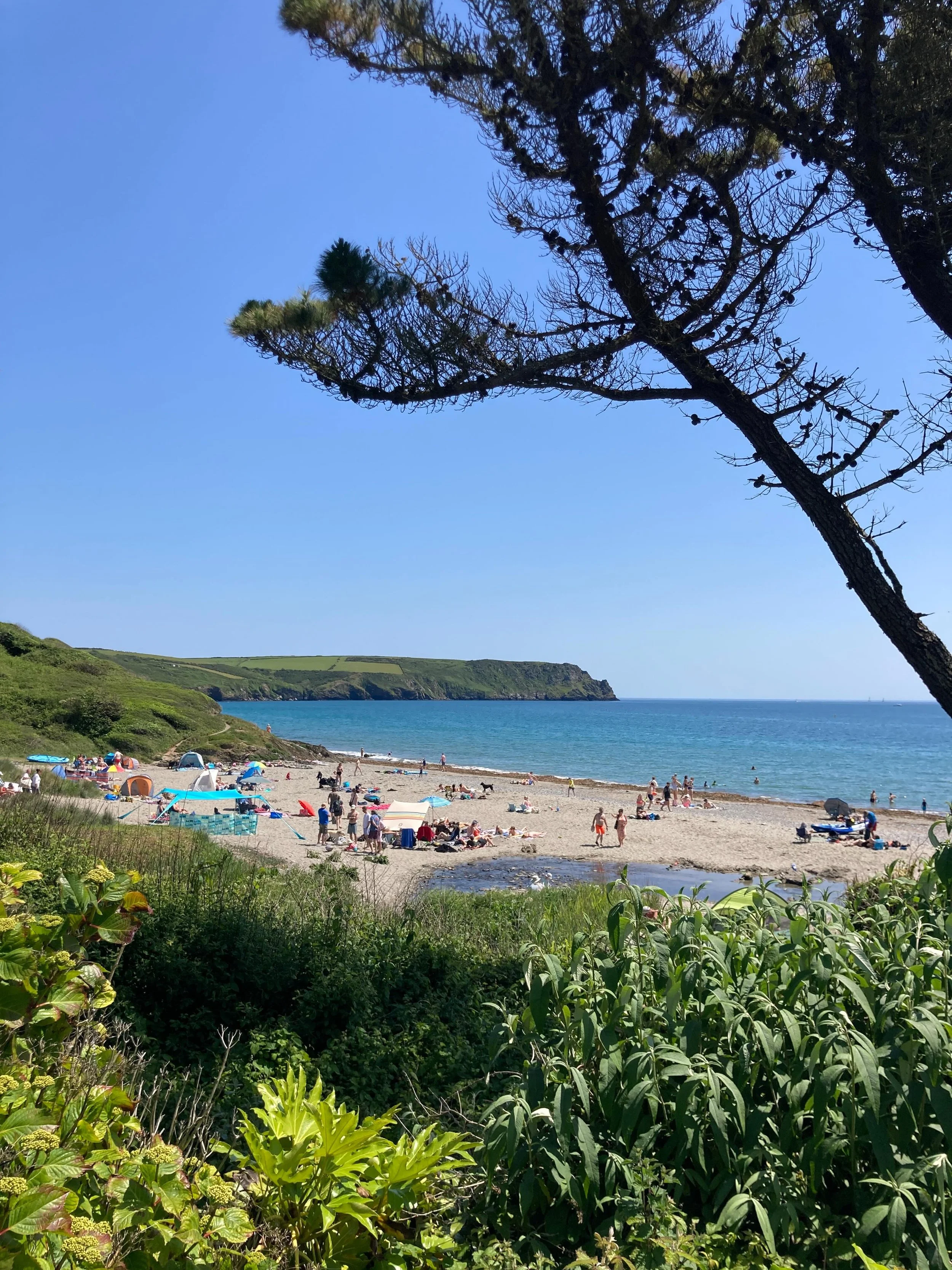 C o r n i s h  A d v e n t u r e s ☀️ 🏖️ 🌳