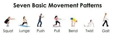 7 Human Movement Patterns