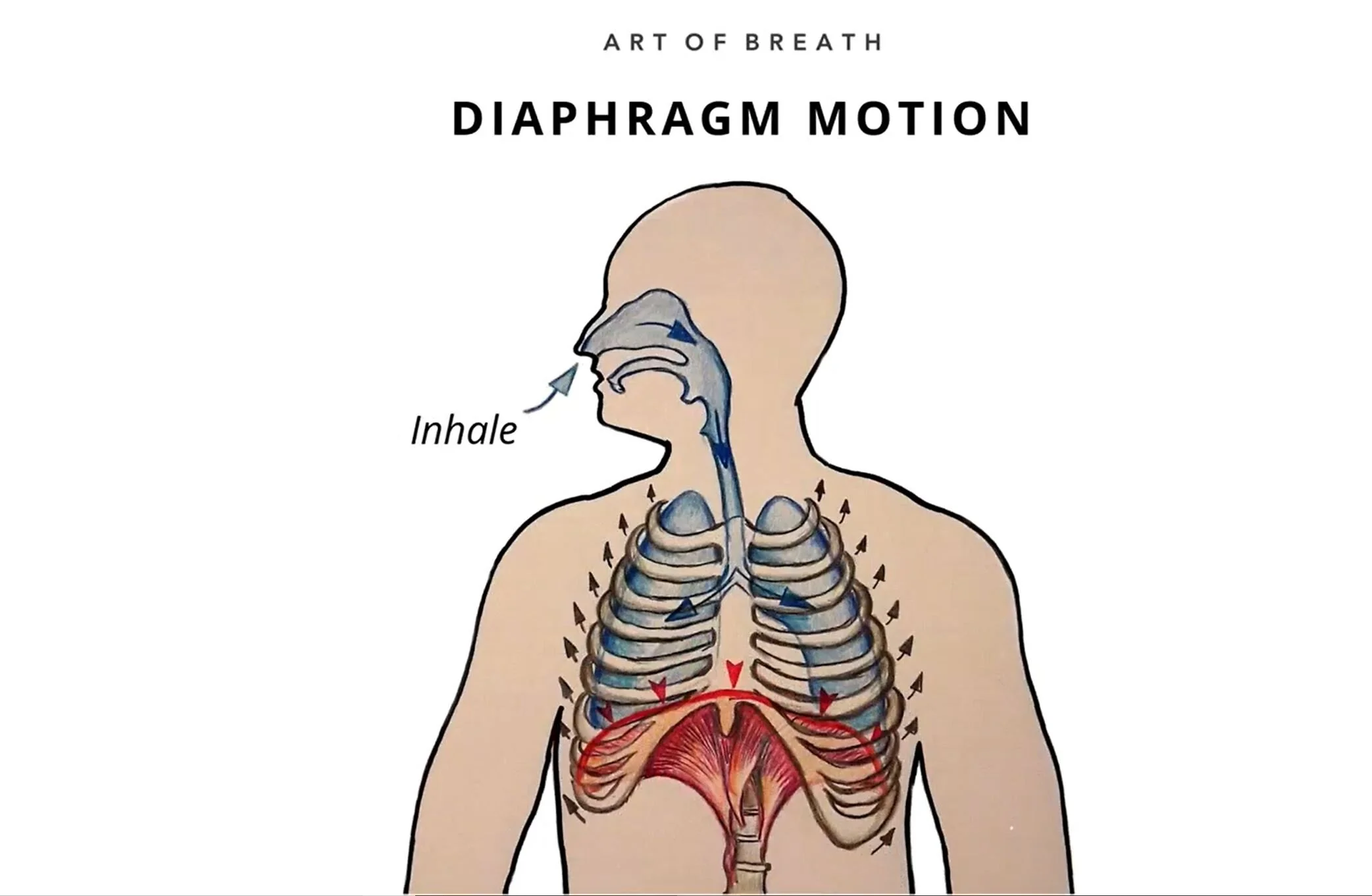 Power Walk, Slow Jog, Natural Run