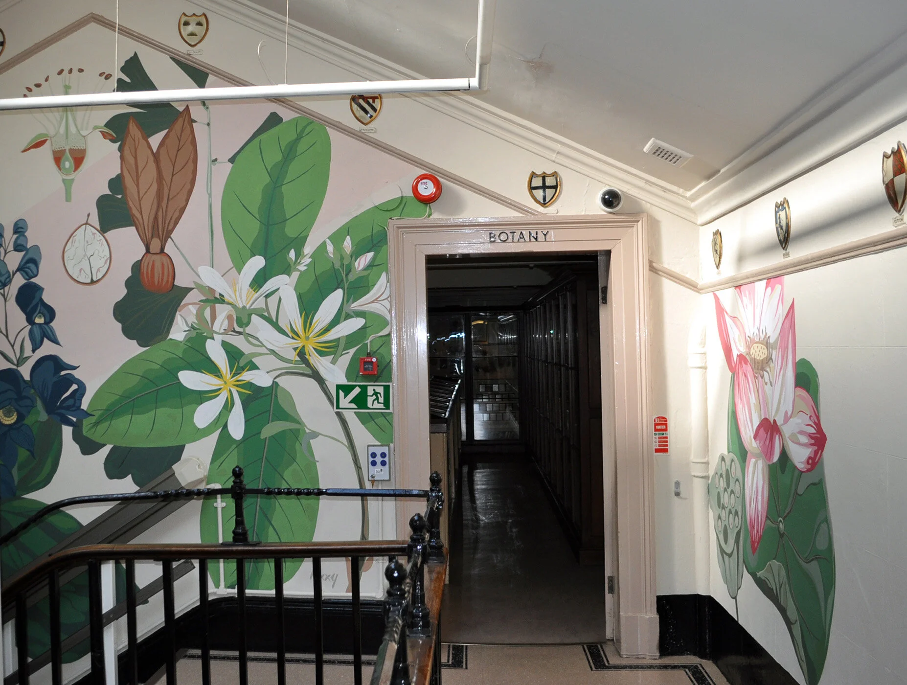Warrington Museum