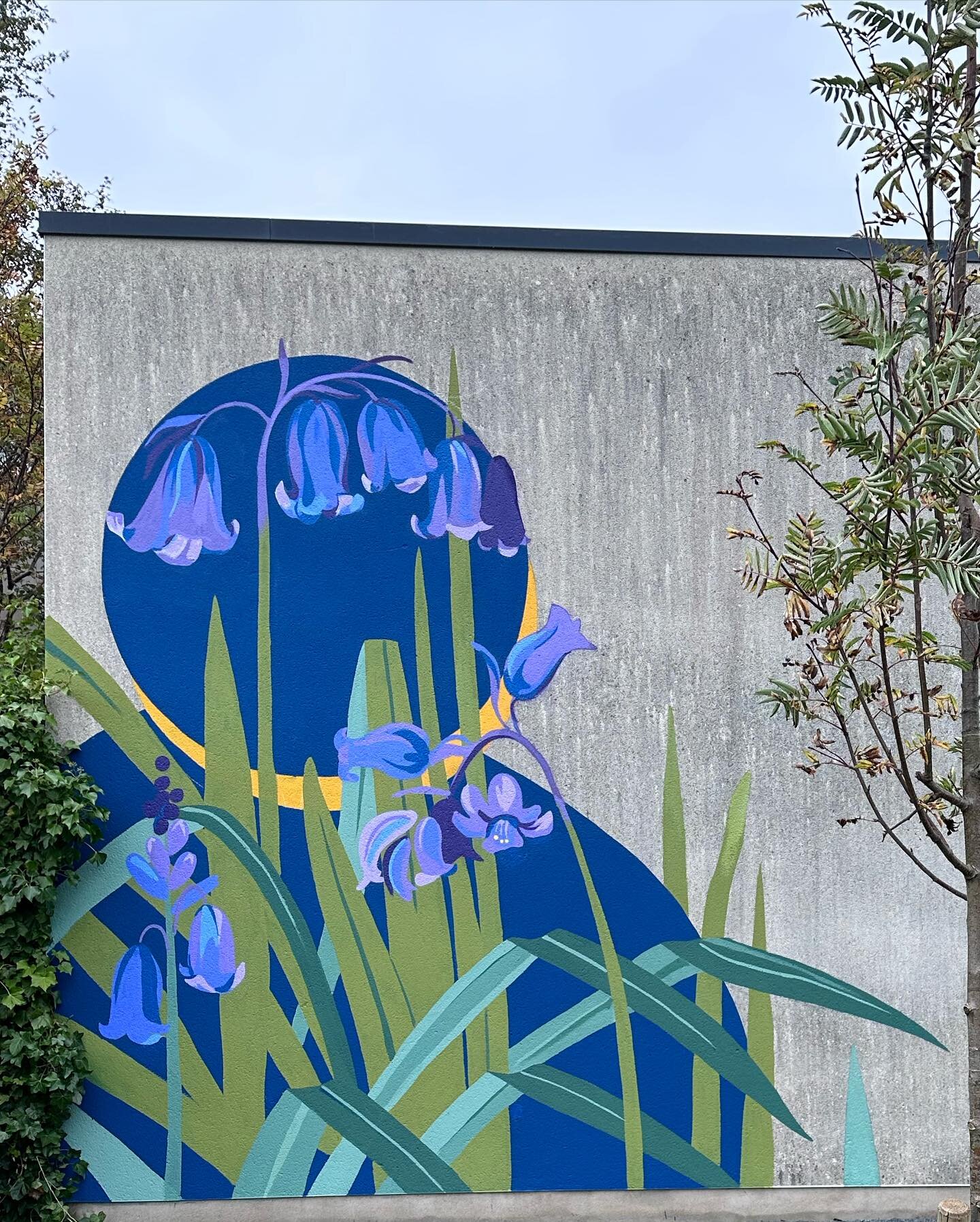 7 towns, 7 flowers! Commission through @daisychaininc and Antrim &amp; Newton Abbey District council, Northern Ireland. Featuring : Bluebells, Cherry blossom, Forget-me-not and wild rose
- 
Species chosen by each town council that felt representative