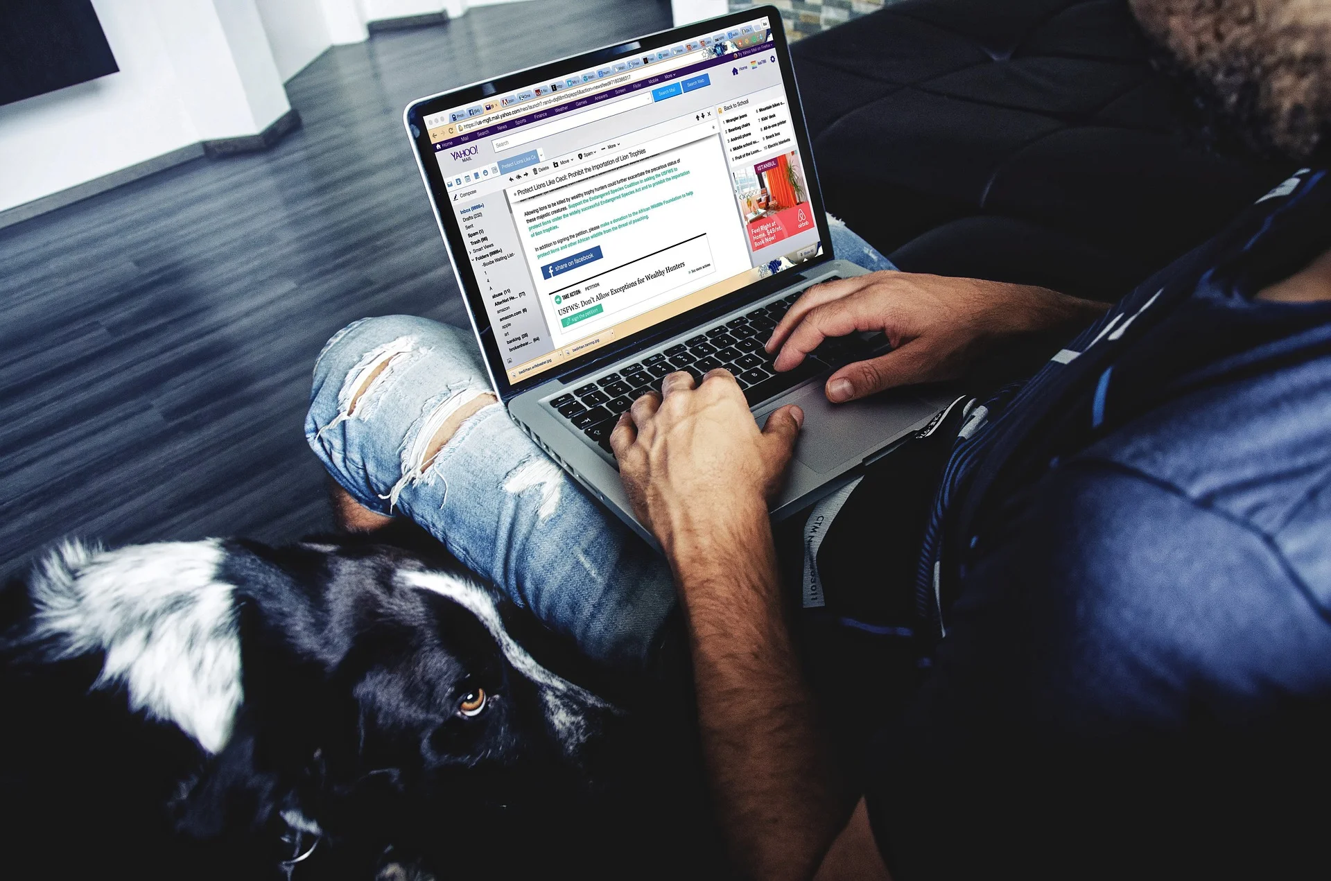 Picture from Pixabay.com