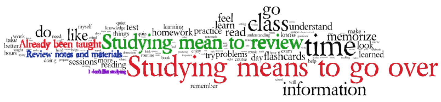 Figure 3. Frequency-weighted word cloud of most common words and phrases.