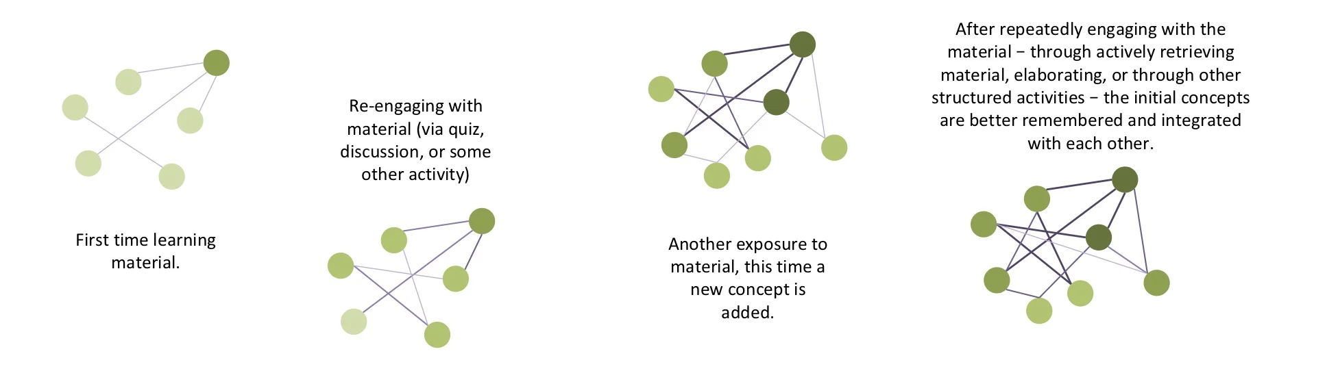 Network development.jpg