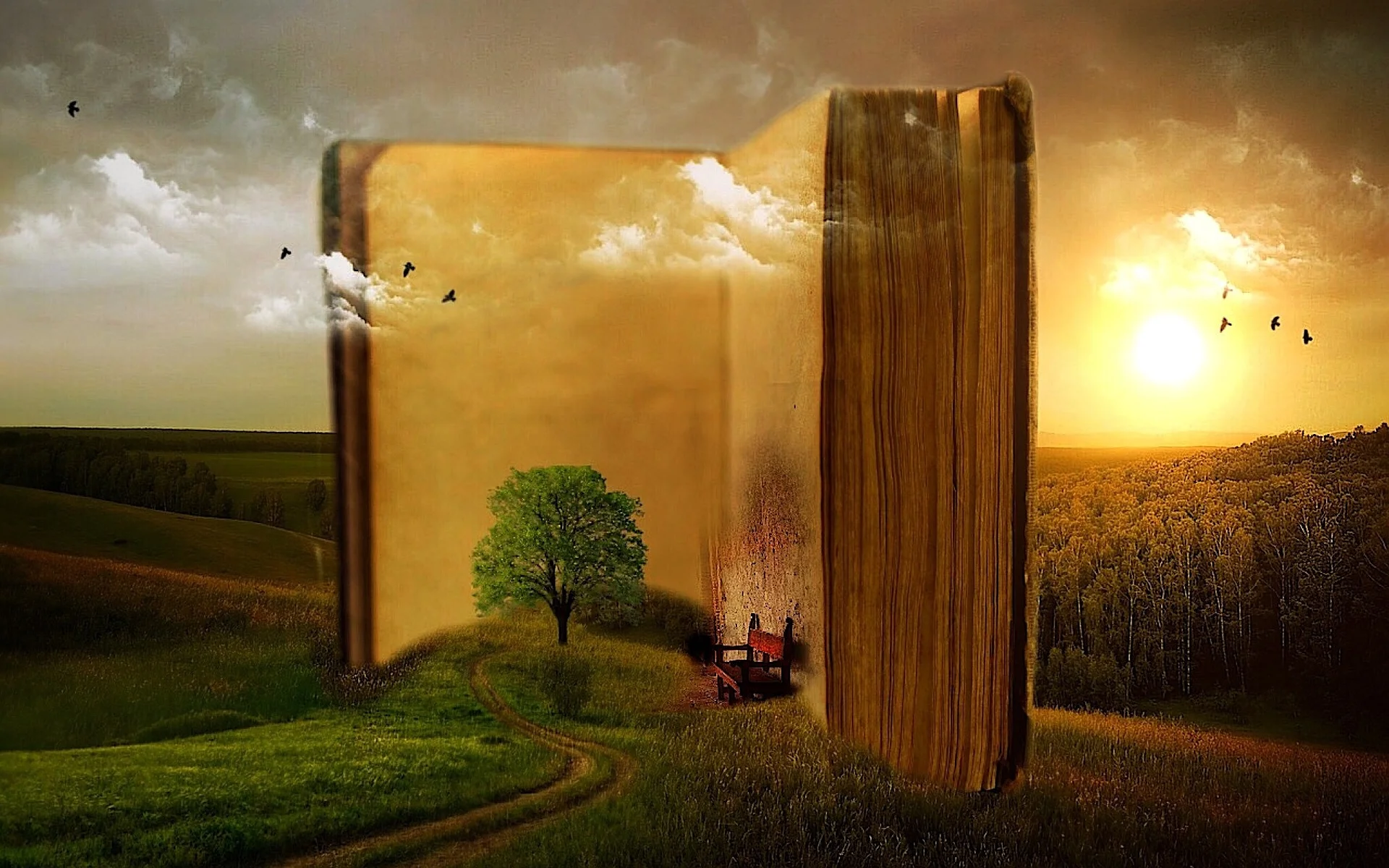 Image from Pixabay