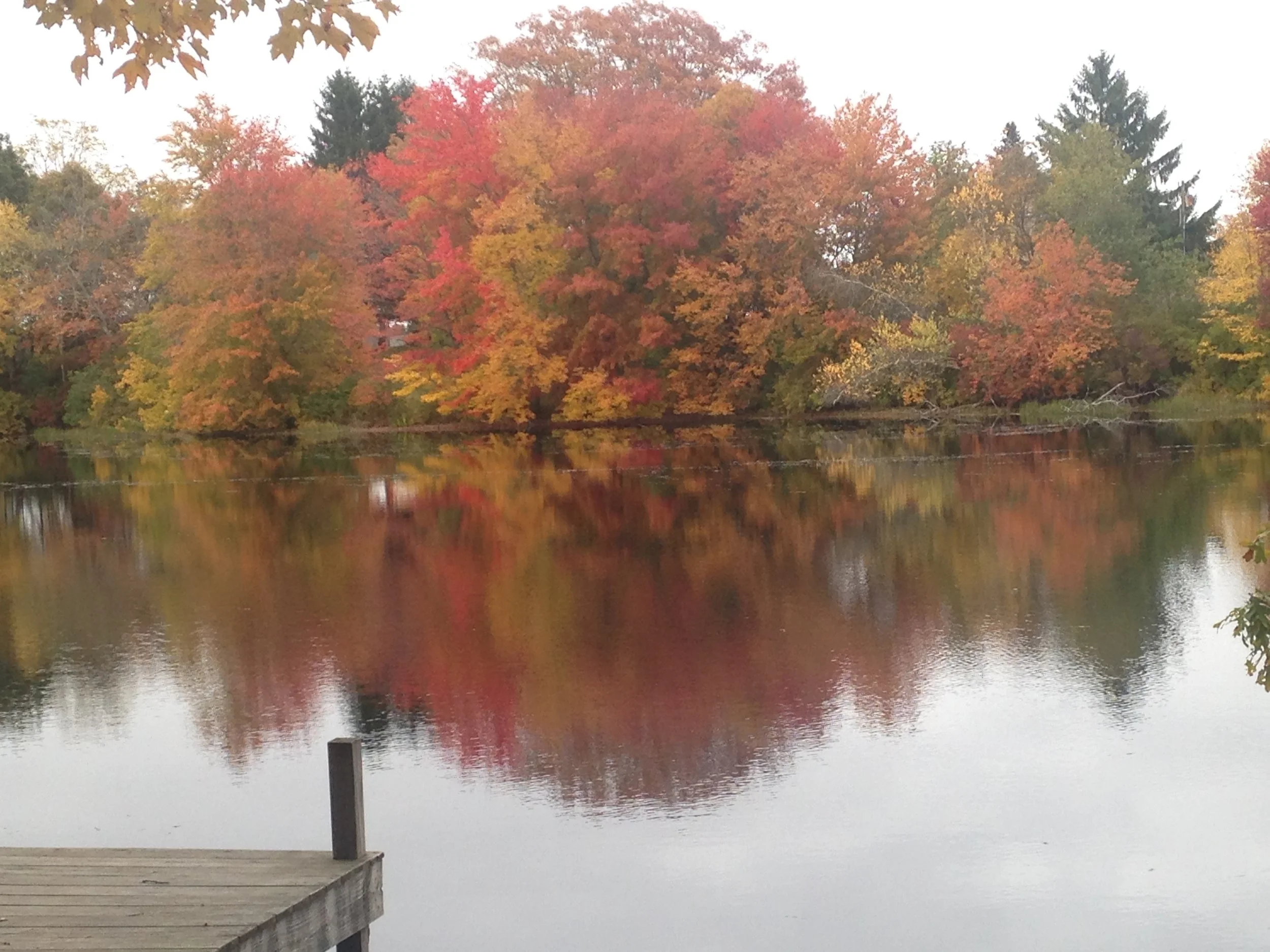 Fall foliage in Rhode Island — Megan Sumeracki
