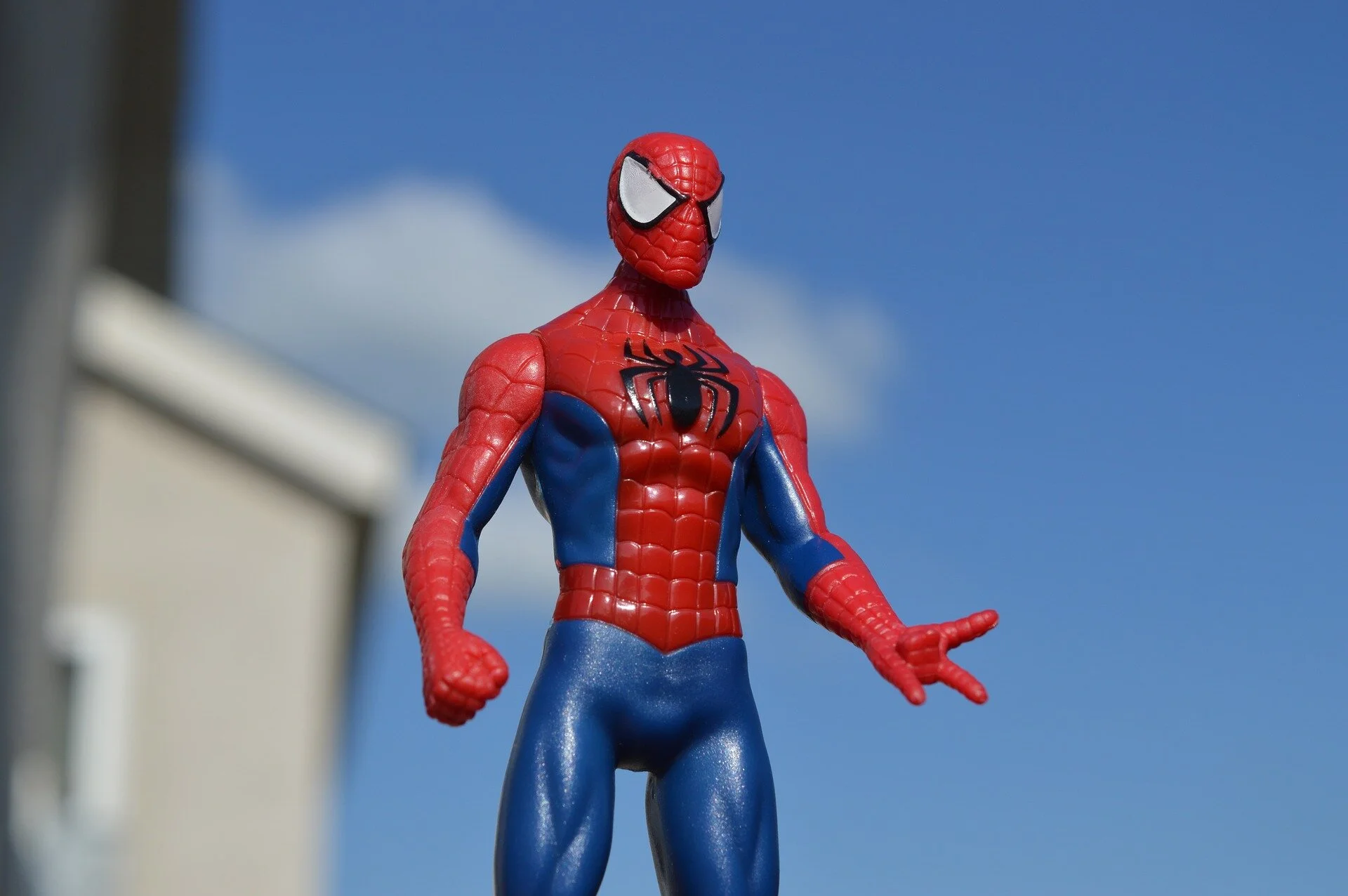 spiderman-1560337_1920.jpg