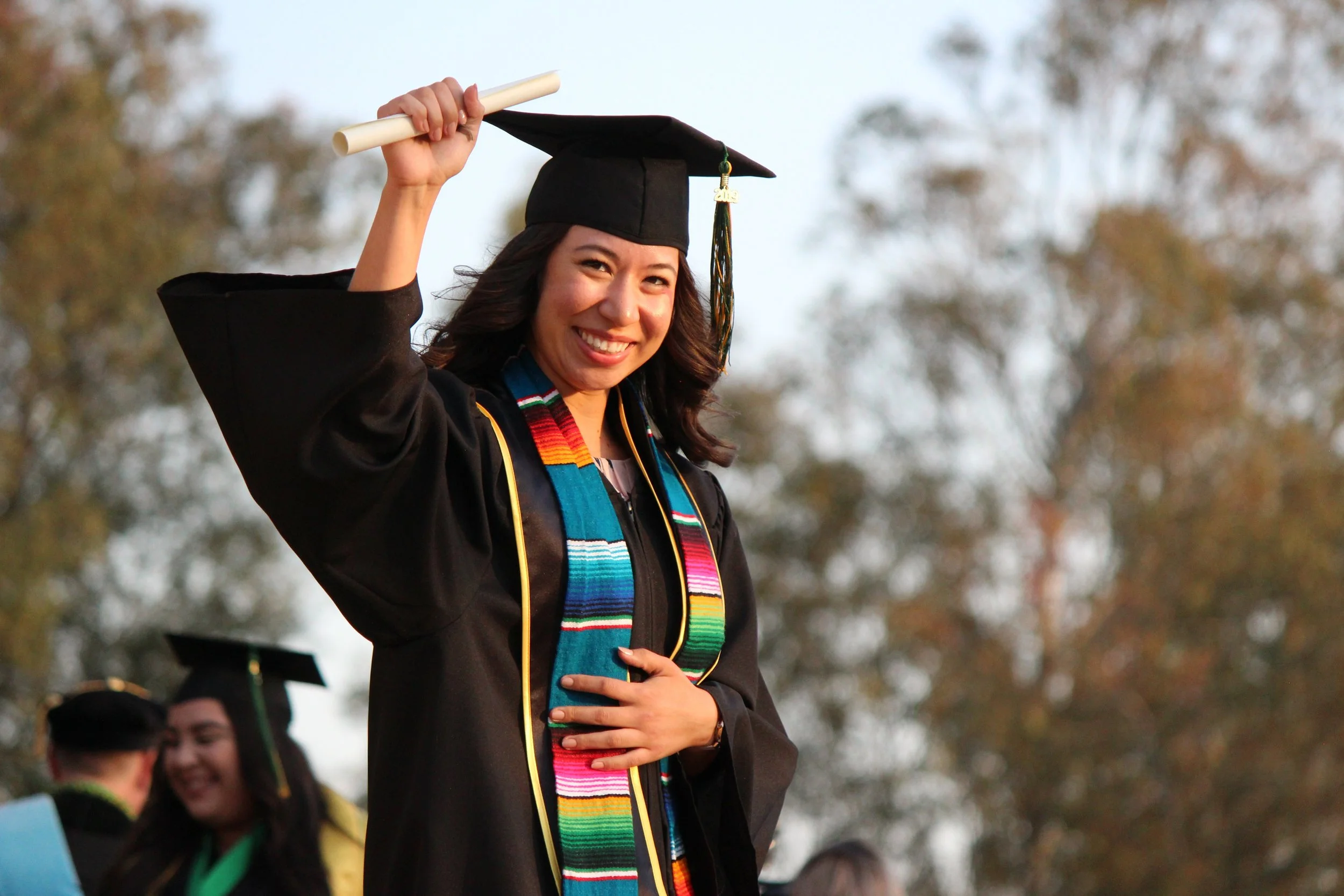Self-Regulating Motivation and Emotion During Learning