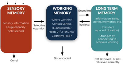 Feb 23 GUEST POST: Memorable Feedback: Lessons from Cognitive Psychology in Encoding