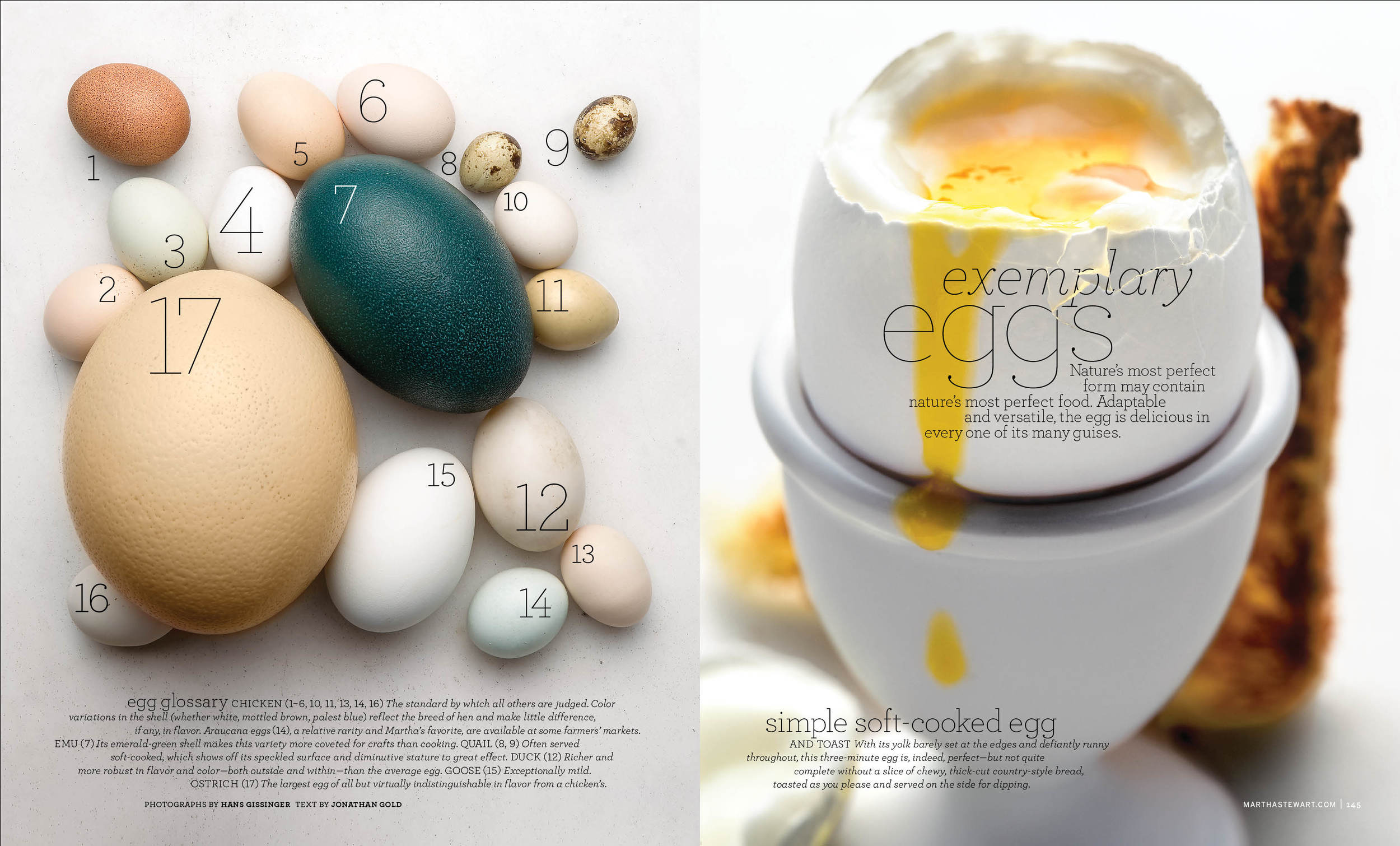 Eggs copy.jpg
