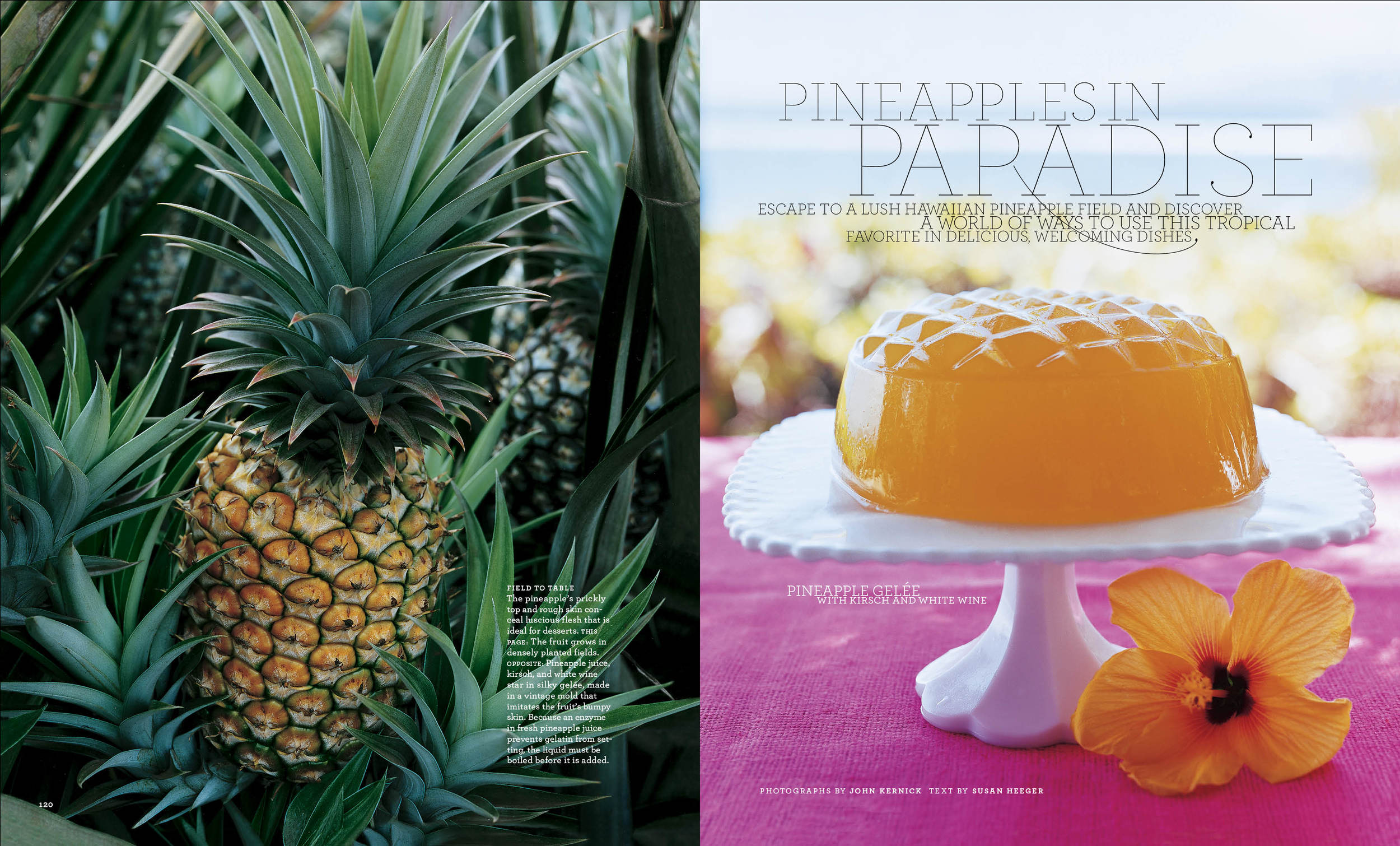 Pineapple copy.jpg