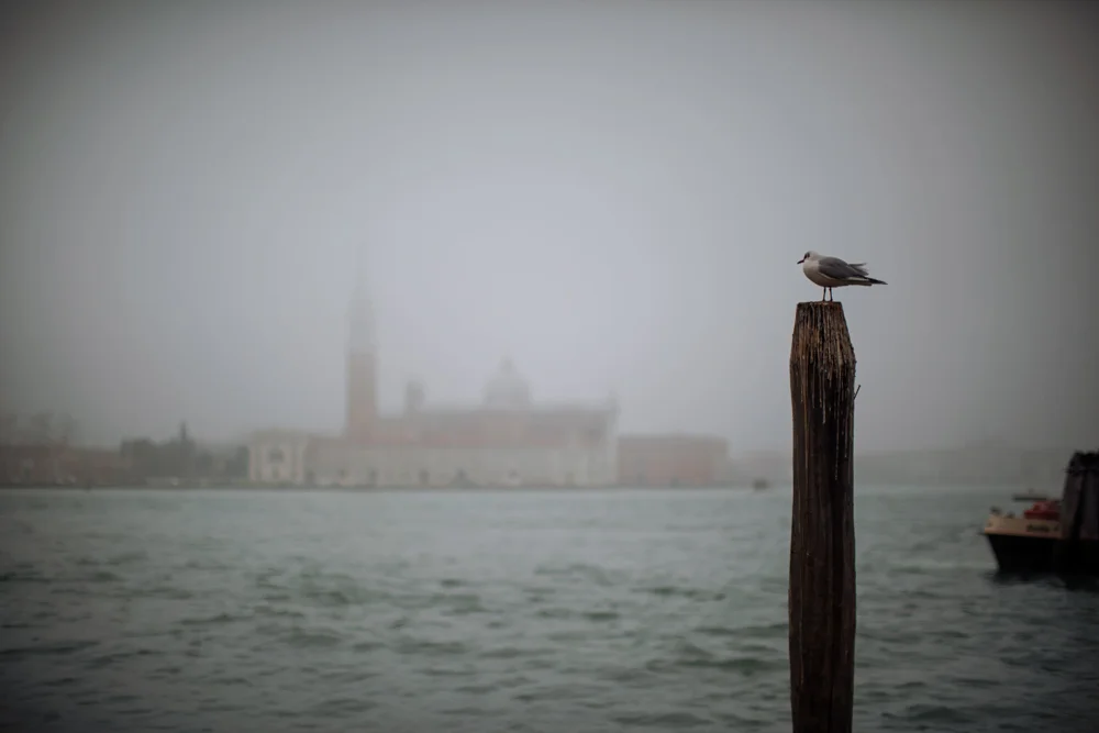 Venezia - ITALY
