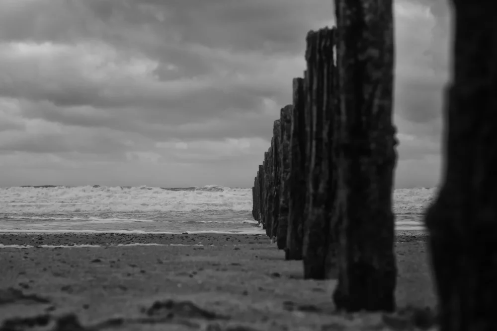 IMG_0026_1-Modifier-Modifier-Modifier-Modifier.jpg