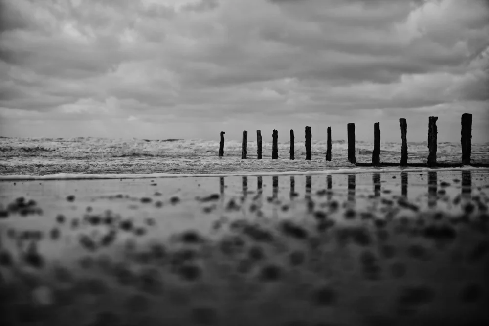 IMG_9974-Modifier-Modifier-Modifier.jpg