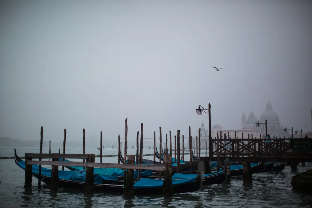 Venezia - ITALY