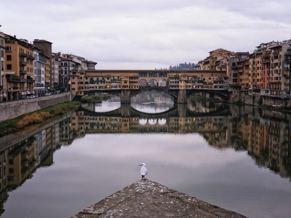 Firenze - ITALY