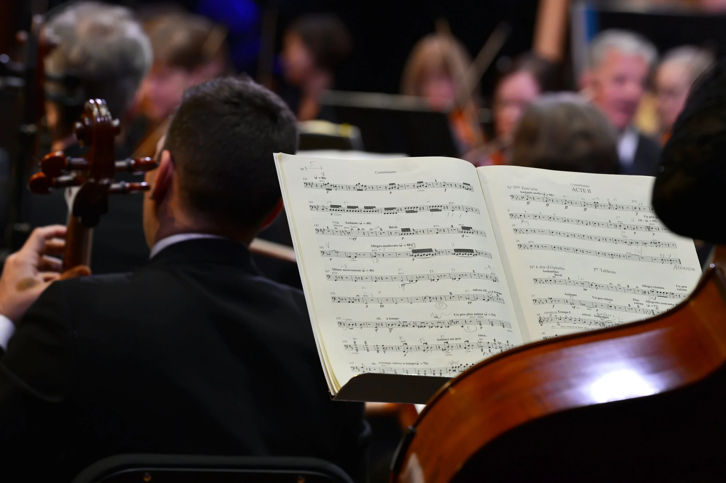 Watch & Listen — Washington Concert Opera