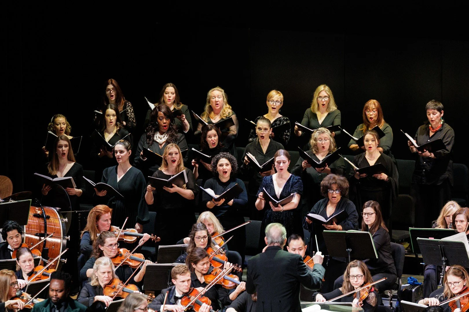 2026_03_14_wco_elmanstudio-2602 (Large).jpg