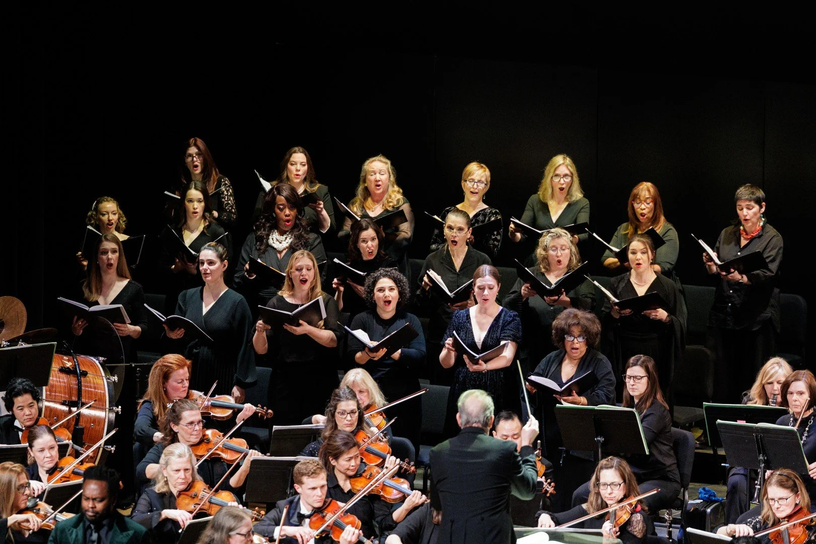 2026_03_14_wco_elmanstudio-2603 (Large).jpg