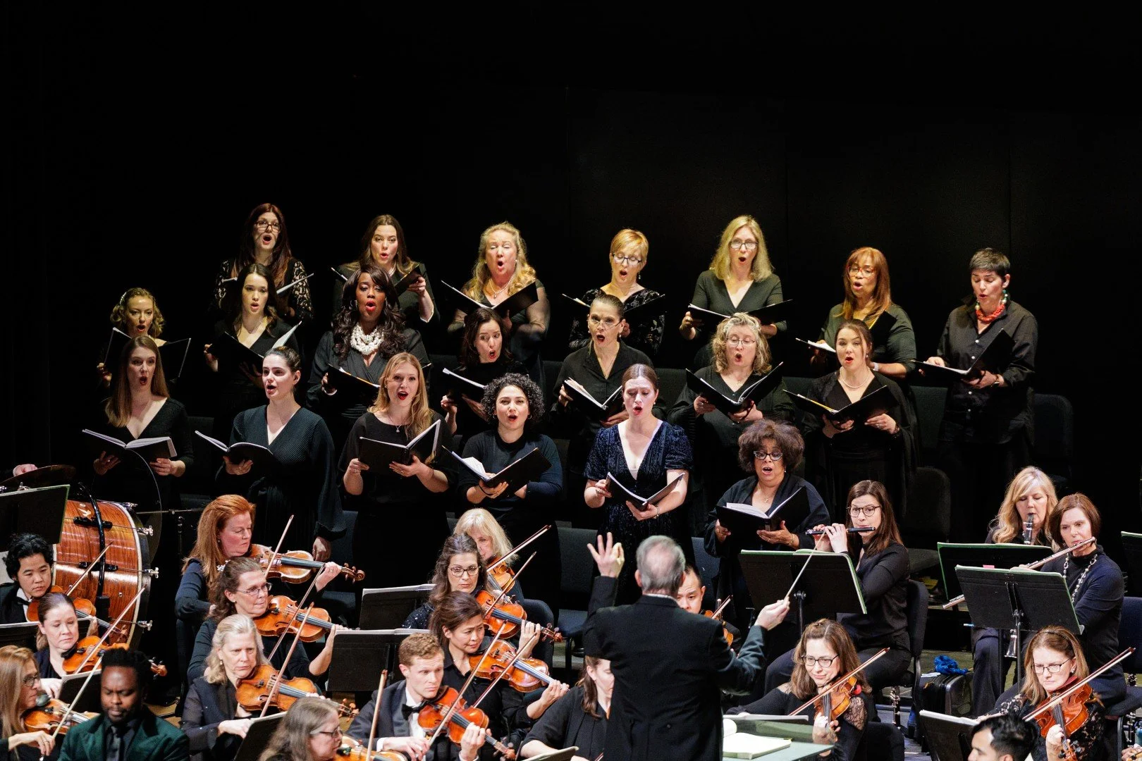 2026_03_14_wco_elmanstudio-2615 (Large).jpg