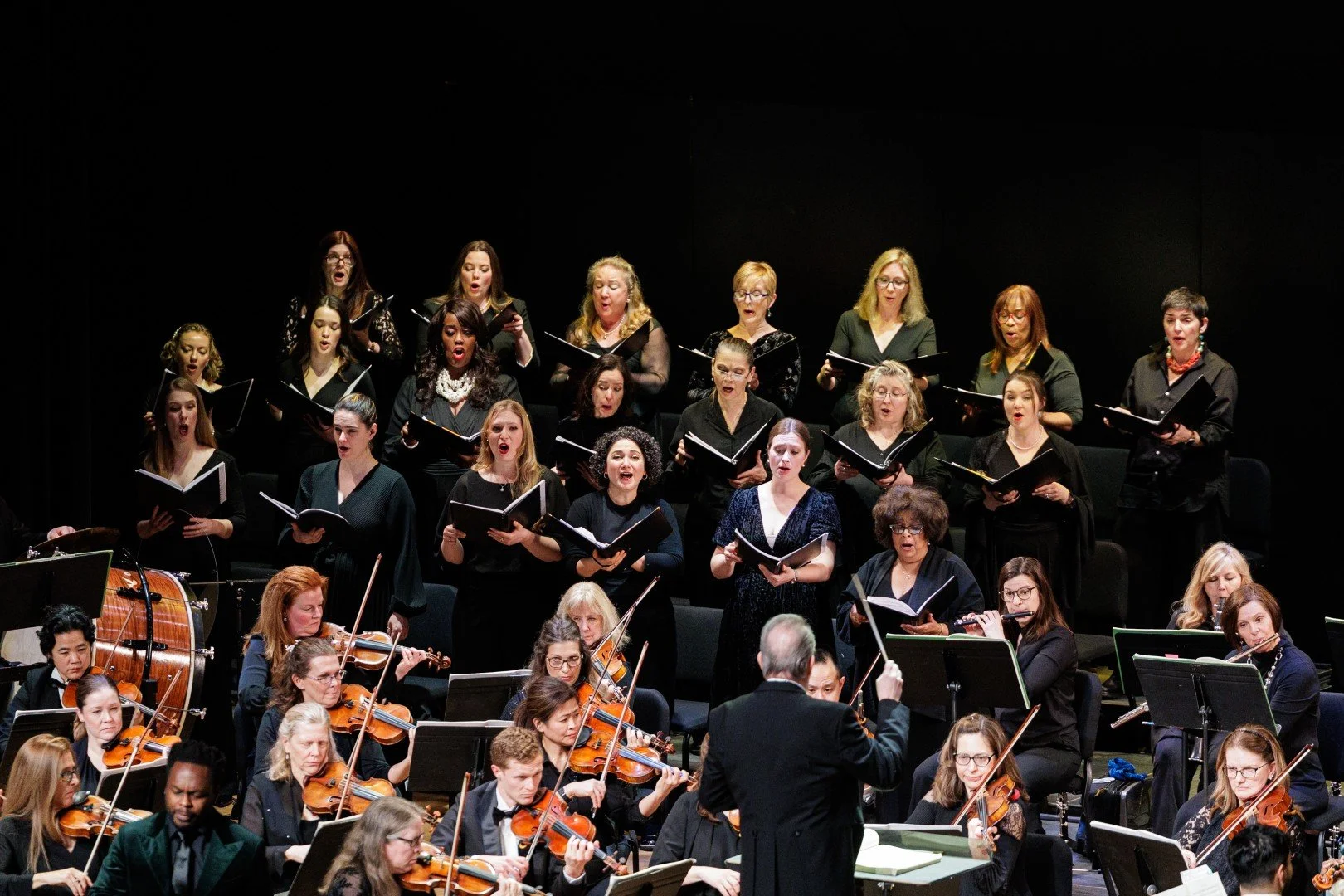 2026_03_14_wco_elmanstudio-2624 (Large).jpg