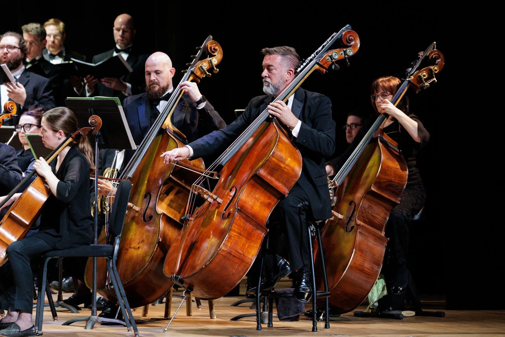 2026_03_14_wco_elmanstudio-3016 (Large).jpg