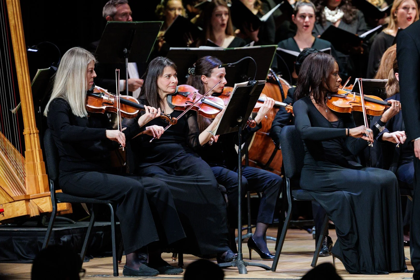 2026_03_14_wco_elmanstudio-3017 (Large).jpg