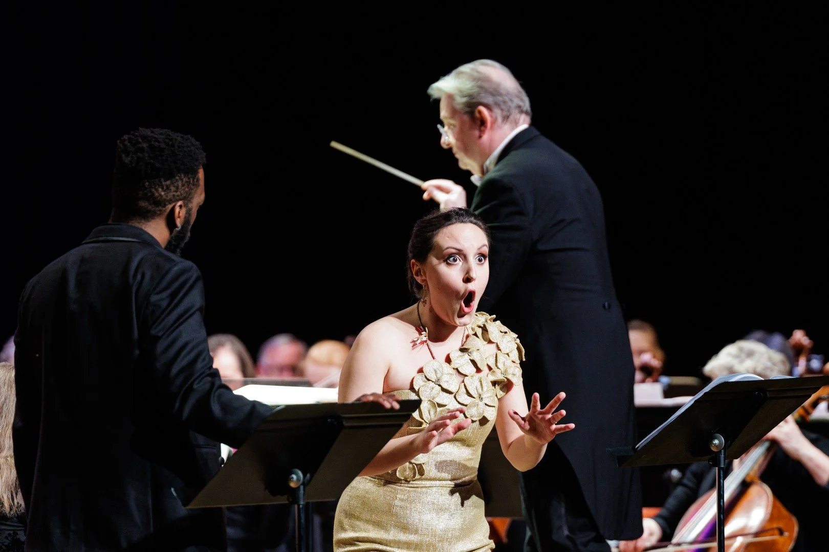 2026_03_14_wco_elmanstudio-3496 (Large).jpg