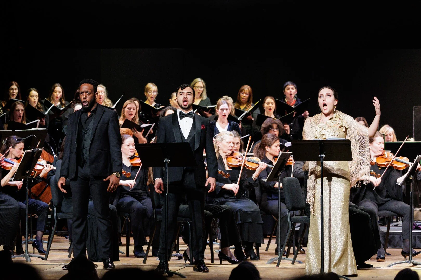 2026_03_14_wco_elmanstudio-4096 (Large).jpg