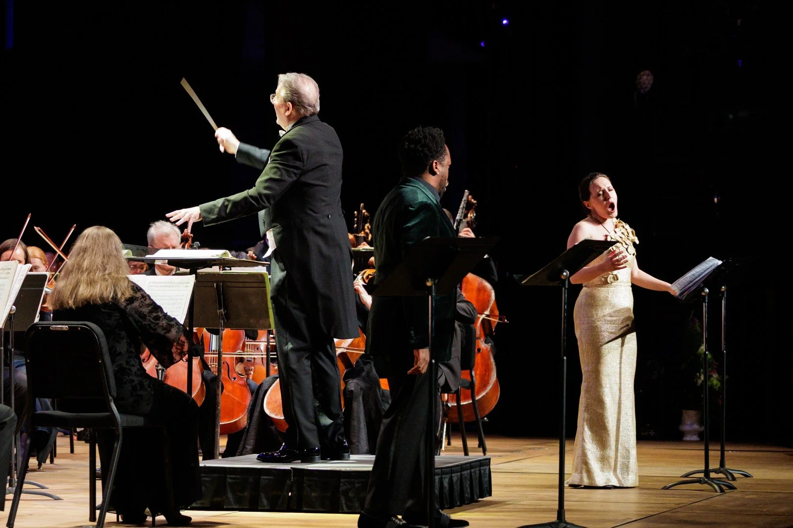 2026_03_14_wco_elmanstudio-4273 (Large).jpg