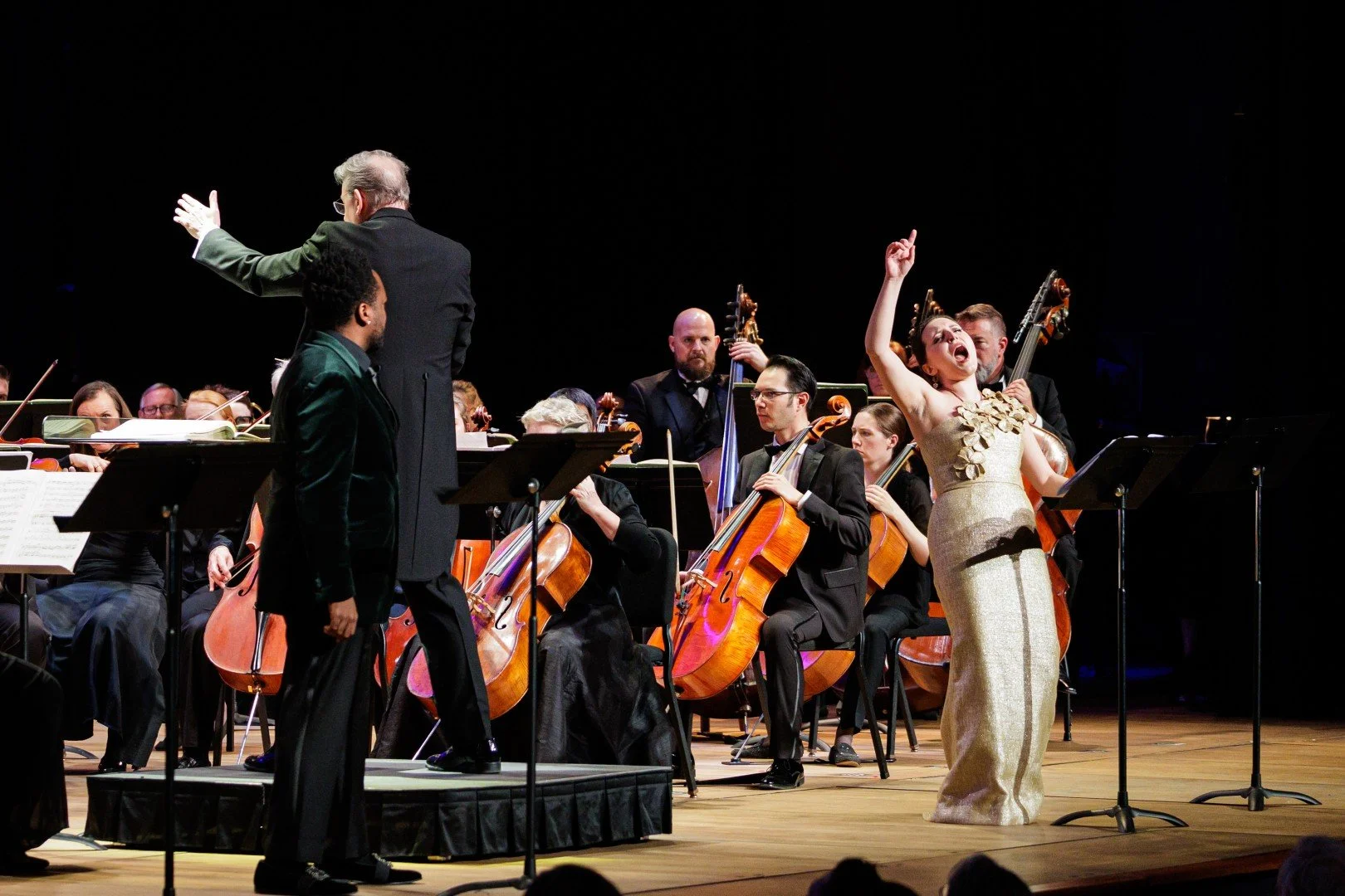 2026_03_14_wco_elmanstudio-4373 (Large).jpg