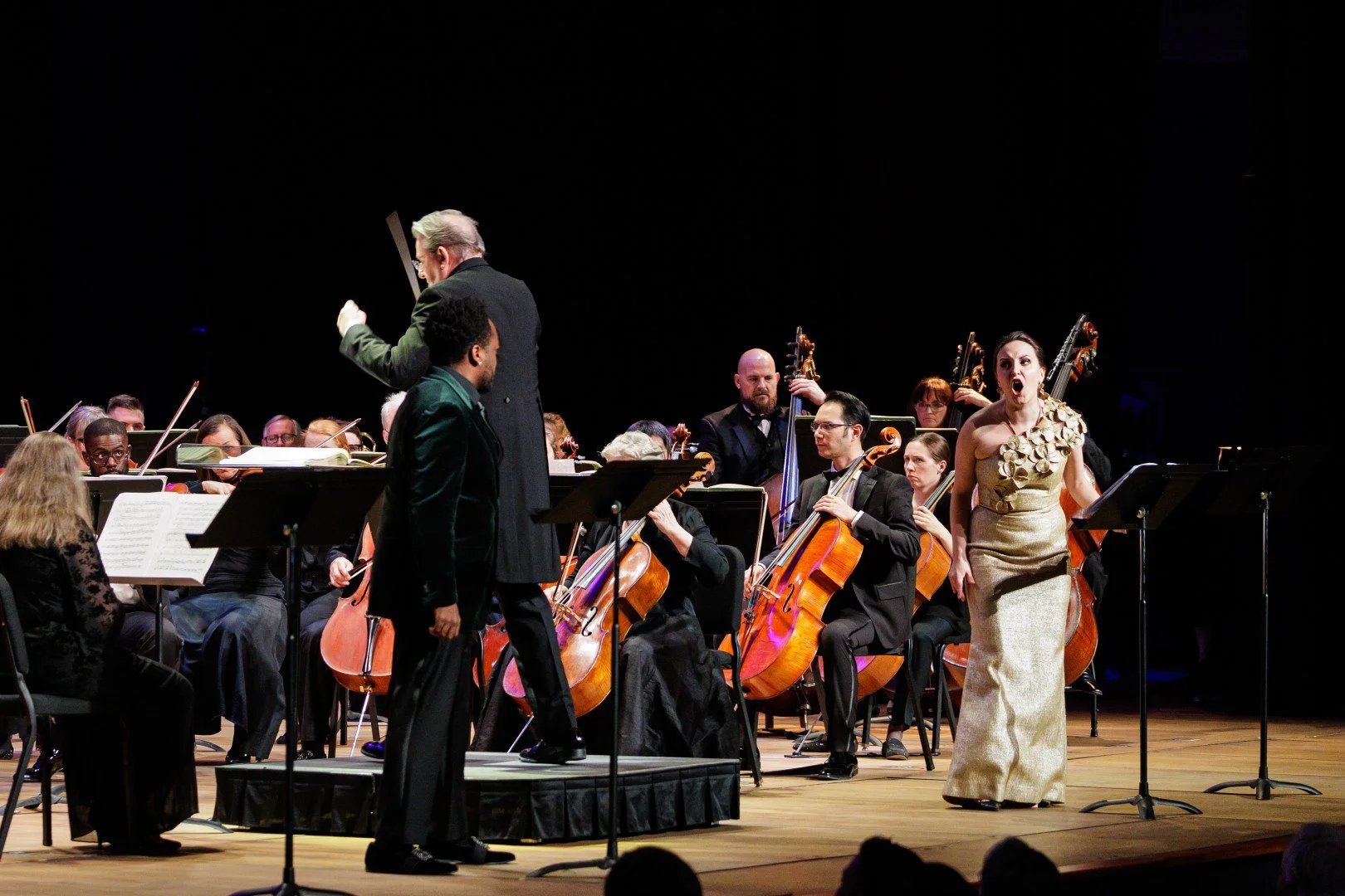 2026_03_14_wco_elmanstudio-4377 (Large).jpg